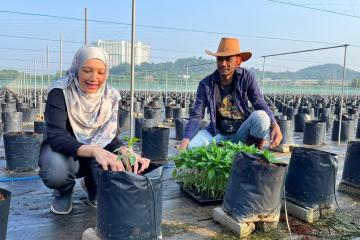 Projek Inisiatif Pendapatan Rakyat, Usahawan Tani (IPR-INTAN)