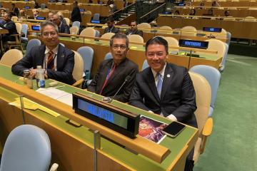  (High Level Political Forum on Sustainable Development Goals, HLPF SDG)